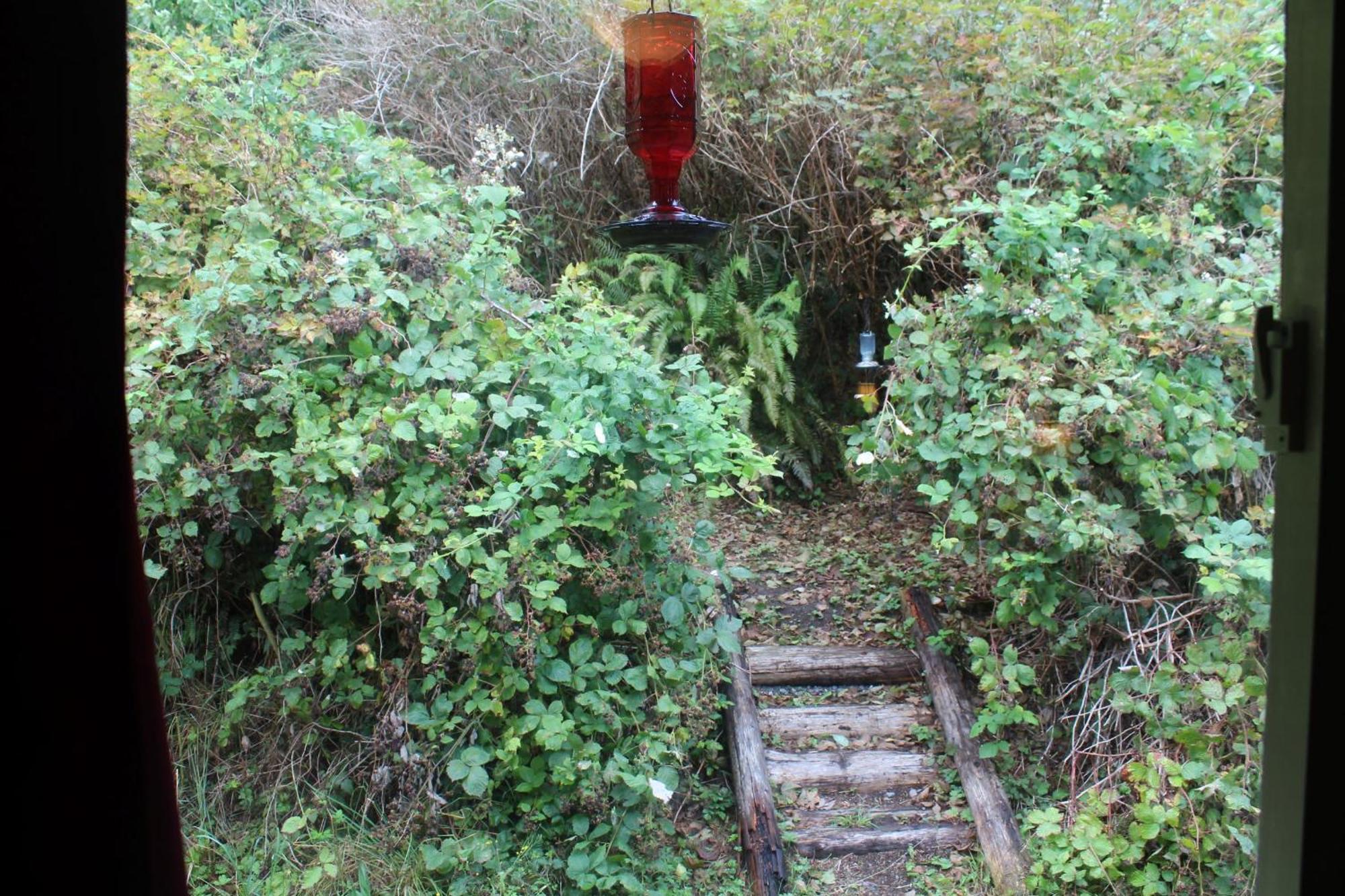 Alert Bay Lodge エクステリア 写真